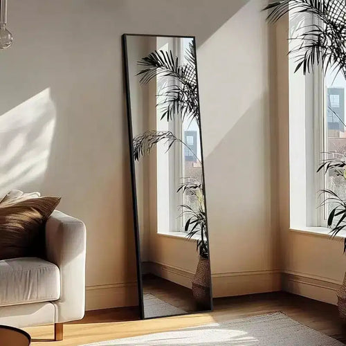 Miroir sur pied noir